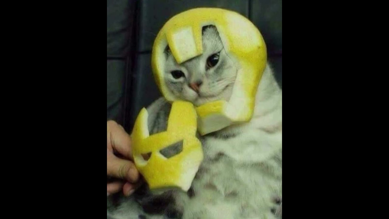 Parcera (Maxiolly, Blessd, ADSO) Remix - milady colombia