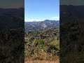 Peaceful Mountain View with Tropical Bird Sounds 🌄🕊️(Tropical Nature Sounds)