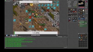 TIBIA HUNT LOWER ROSHAMUUL RP 300+ SOLO DIAMOND ARROWS