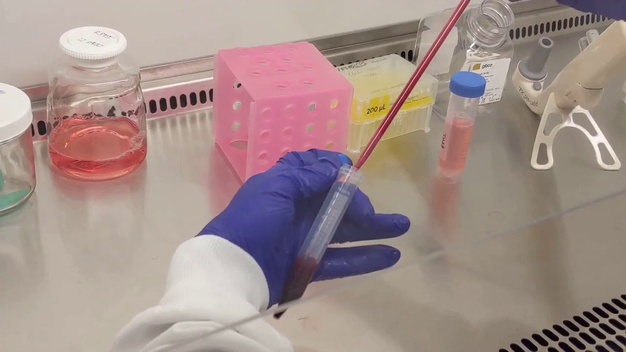 Tutorial 2 - Lab Procedure - YouTube