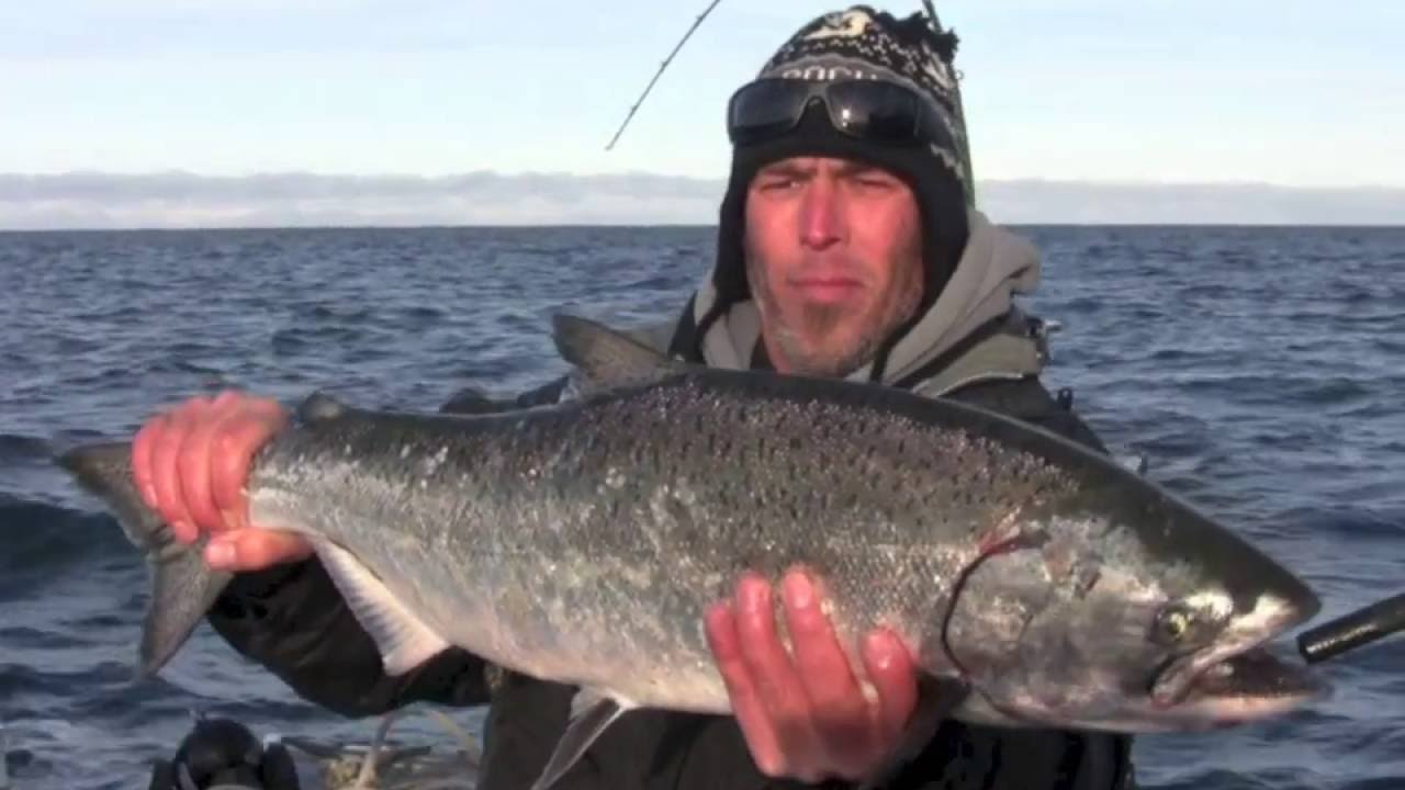 October 2014 Downriggercam Winter Feeder King Trolling Youtube