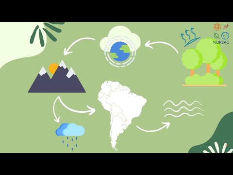 A importância da Floresta Amazônica na regulação do clima