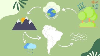 A importância da Floresta Amazônica na regulação do clima
