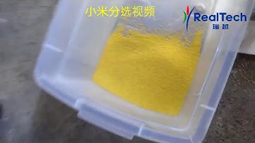 Millet Color Sorter Machine Rice Mill Color Sorting Manufacturer