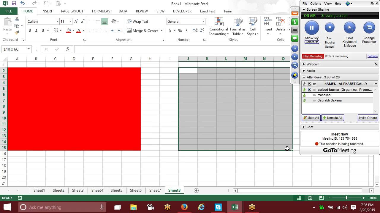 Cells, Sheets, Workbook Protaction in Excel 2013 For Learn Call +91 9968811487