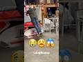 funny videos 😭😱 #shorts #funny #fail