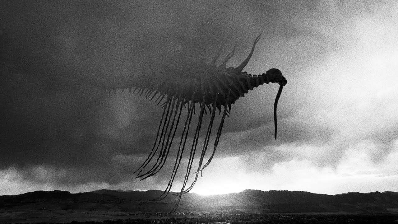 未確認の巨大生物30