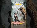 Face to Face With a Tiger #shorts #youtubeshorts