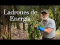 Ladrones de energía