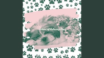 Pulsating Ambience for Calming Your Dog