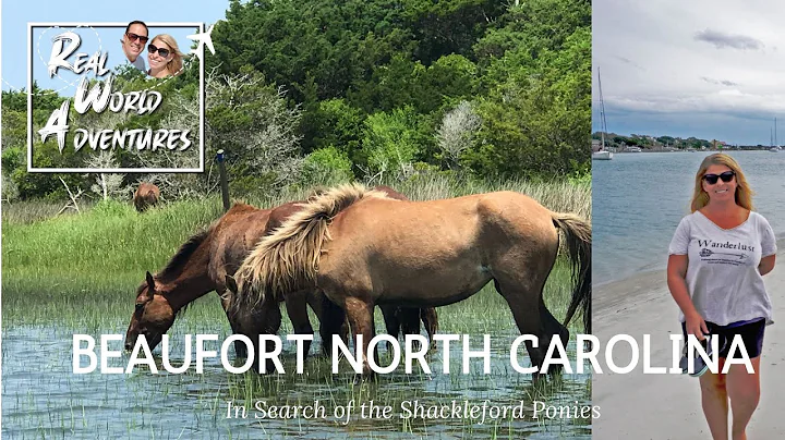 Beaufort, NC and Shackleford Banks Horses