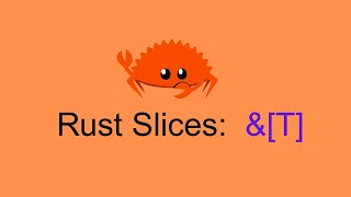 Celebrity Rust Slices #rustprogramming #coding #learntocode Wealth