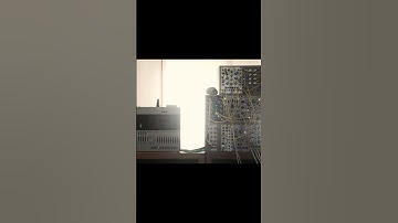 4-Track Cassette Tape + Mimeophon Ambient / Beads Mob of Emus Qu-bit  Ensemble Oscillator #Shorts