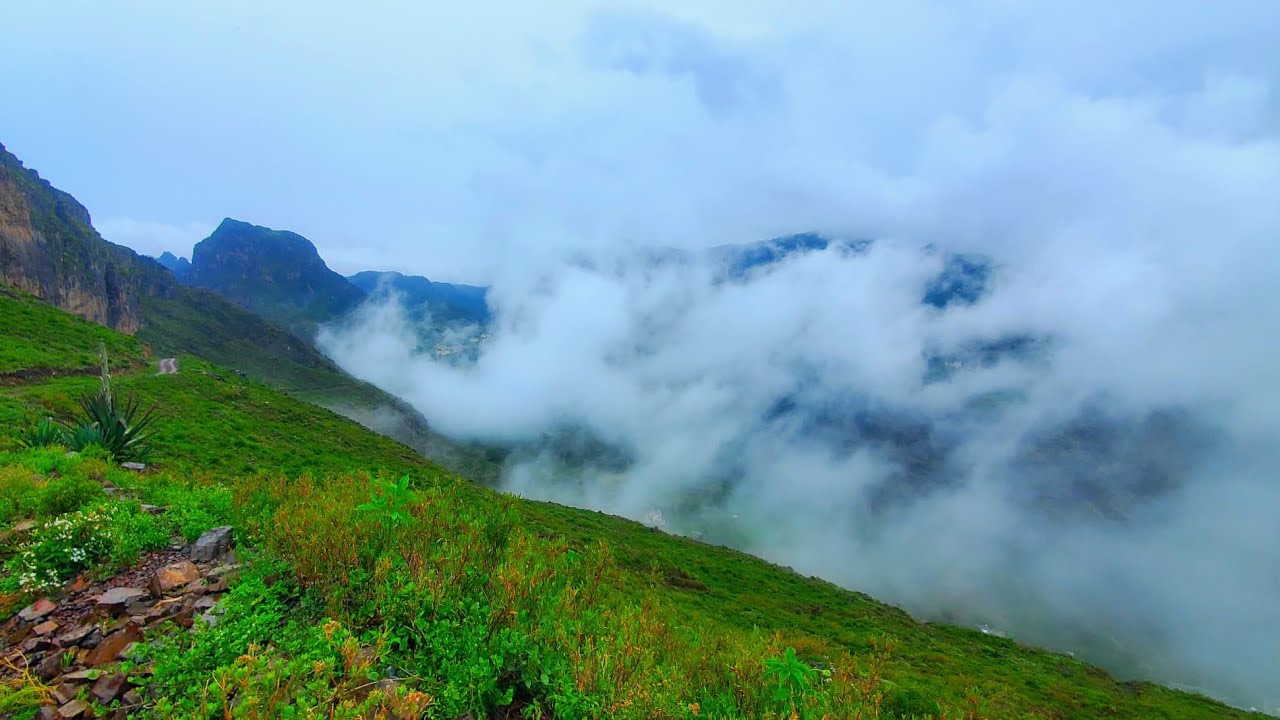 #اكسبلور #اغاني_خليجية 