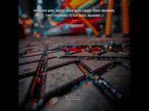 story-wa-baper-tresno-ra-bakal-ilang-(salam-tresno)