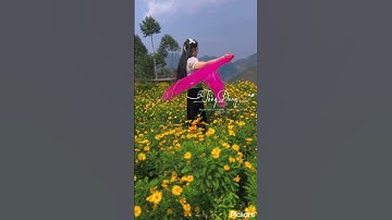 Mẫu áo cóm dân tộc Thái mang đậm phong cách truyền thống mà vô cùng trẻ trung