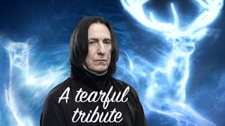 Snape Tribute - Harry Potter DIY