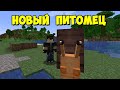 Lovely Snails - милые улитки в майнкрафт [1.18] [1.17.1] Обзор модов № 163