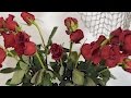 How to revive wilted roses