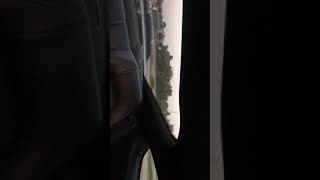 My 19 5.0 Vs Another 19 5.0