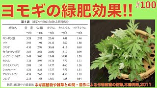 【#100】ヨモギの活用！「緑肥」になる！どのくらいの肥料分が入っているのか！？