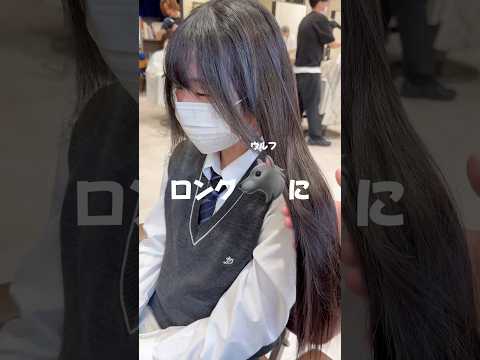 高校生でロングウルフに？！#ウルフカット #ウルフ女子 #ウルフヘア #ウルフ #ロングウルフ