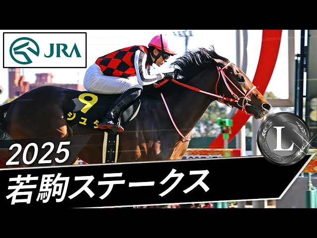2025年 若駒ステークス（L） | ジュタ | JRA公式 - YouTube