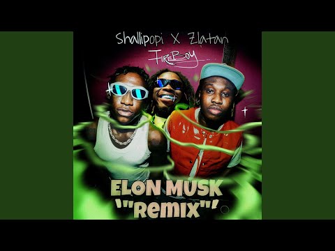 Elon Musk (Remix)
