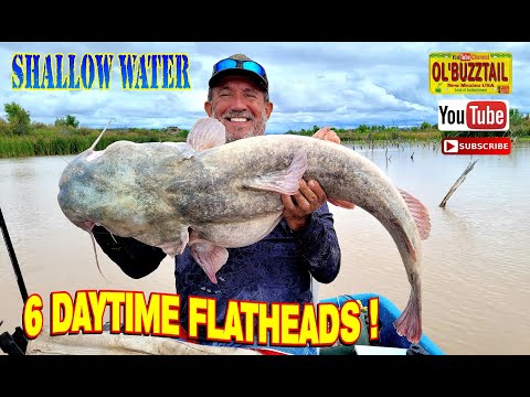 Fishing for flathead catfish. #fishing #fishingvideo #newmexico