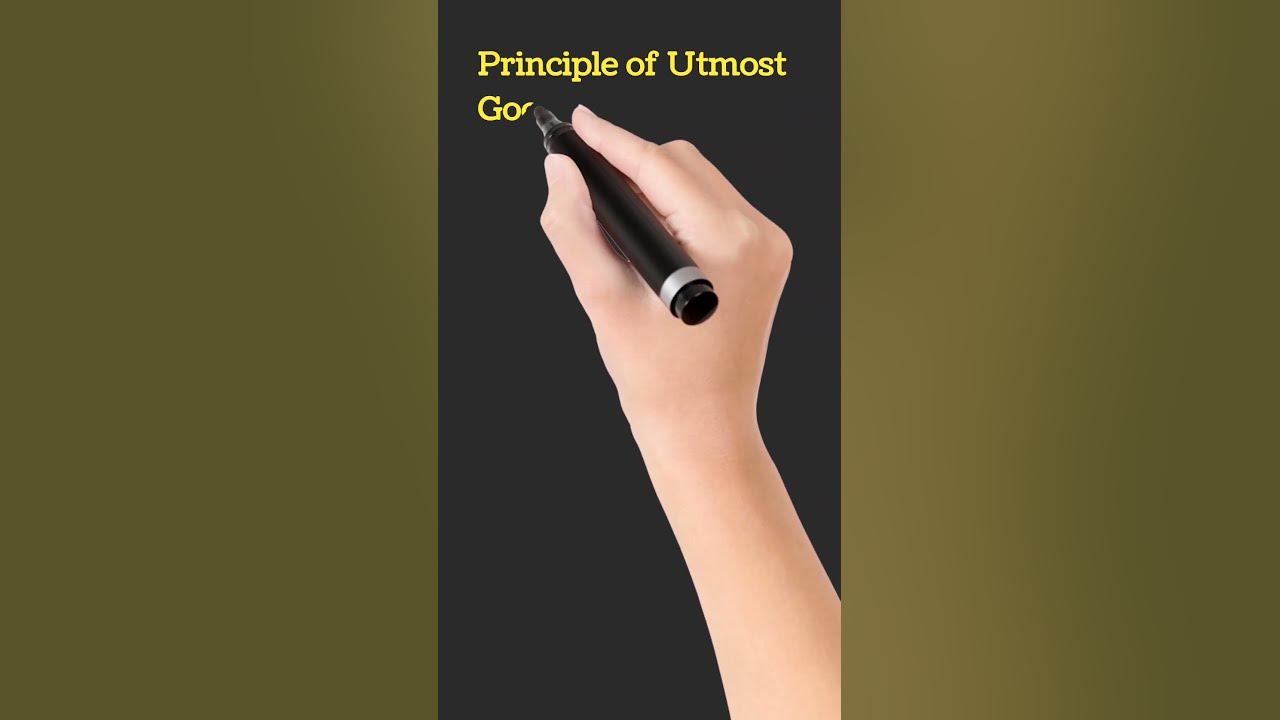 principle-of-utmost-good-faith-principles-of-insurance-business