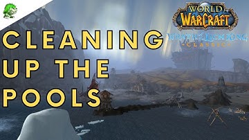 Wotlk Classic Cleaning Up the Pools