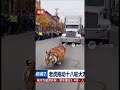 2025年10月23日