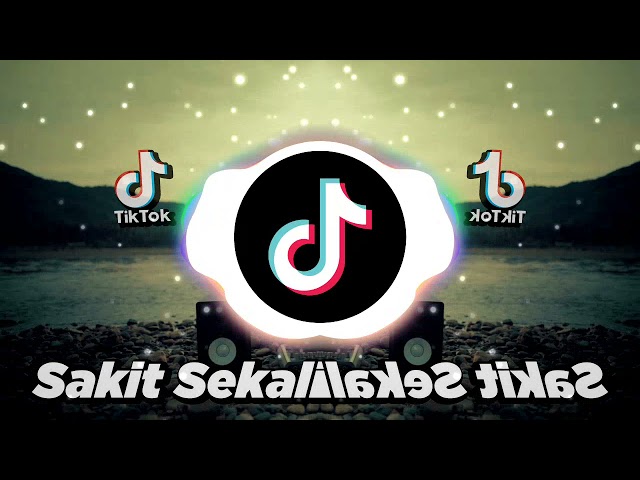 DJ DESA Remix - DJ STEREO LOVE x SAKIT SEKALI EVERYBODY x SULING DAMON VOCATION  DJ DESA Remix class=