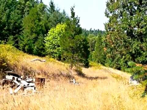 696 Strode Canyon Lane, Myrtle Creek, OR home video tour