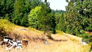 696 Strode Canyon Lane video tour