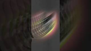 “2024” New Pashto Song”Baran Waridi 2024 – Lila Khan New Pashto Remix Song 🔥 Viral