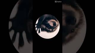 Pedro Pedro Pedro Pedro pe