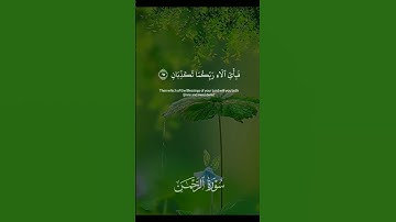تلاوة تقشعر لها الأبدان #أجمل_تلاوات