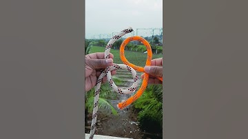How To Connect Two Ropes || Zeppelin Bend || #shorts #knot #fishingknots