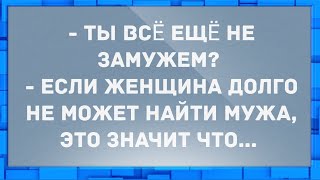 - Ты всё ещё не замужем? Анекдоты.