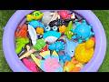 Ocean Animals For Kids🐬🦀| Learn Sea Animals Names, Facts &amp; Educational Toys For Toddlers