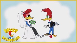 Woody Woodpecker | Valentines Day Special | Full Episodes screenshot 2