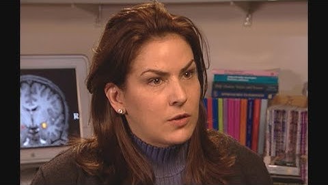 From 2007: Try to remember - making sense of memory