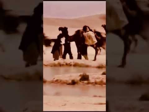 فارس يهاجم عدوه بطريقة عجيبة