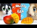 НАСТОЯЩАЯ ЕДА ПРОТИВ МЫЛА! КОТ и КРОЛИК БАФФИ ВЫБИРАЮТ ЧТО ЛУЧШЕ? REAL FOOD Challenge