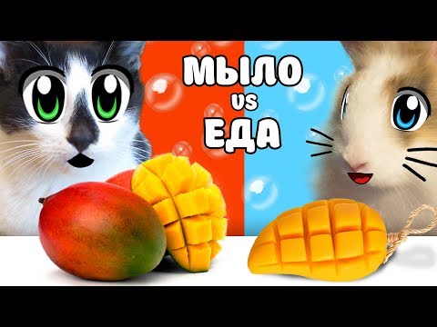 Видео: НАСТОЯЩАЯ ЕДА ПРОТИВ МЫЛА! КОТ и КРОЛИК БАФФИ ВЫБИРАЮТ ЧТО ЛУЧШЕ? REAL FOOD Challenge