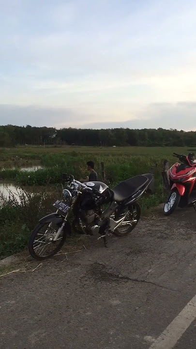story wa herex terbaru#shortvideo