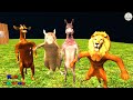 The lion can't sleep because of his annoying neighbors  #kokycartoon #animation #funny