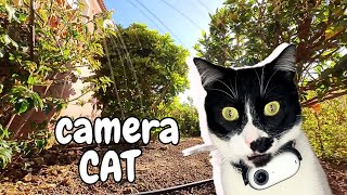 Cat With a Camera Goes On an ADVENTURE (Sunny Day)
