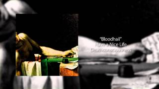 Have a Nice Life - Bloodhail chords